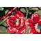 Rose kelim old