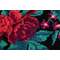 Rose kelim old